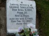 image of grave number 493555